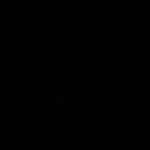 Meet your Posher, Ella